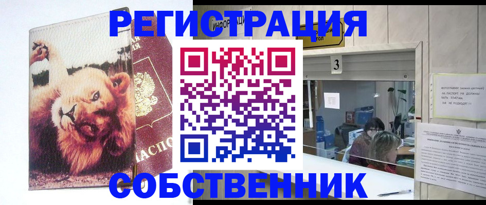 прописка поиск в Томске